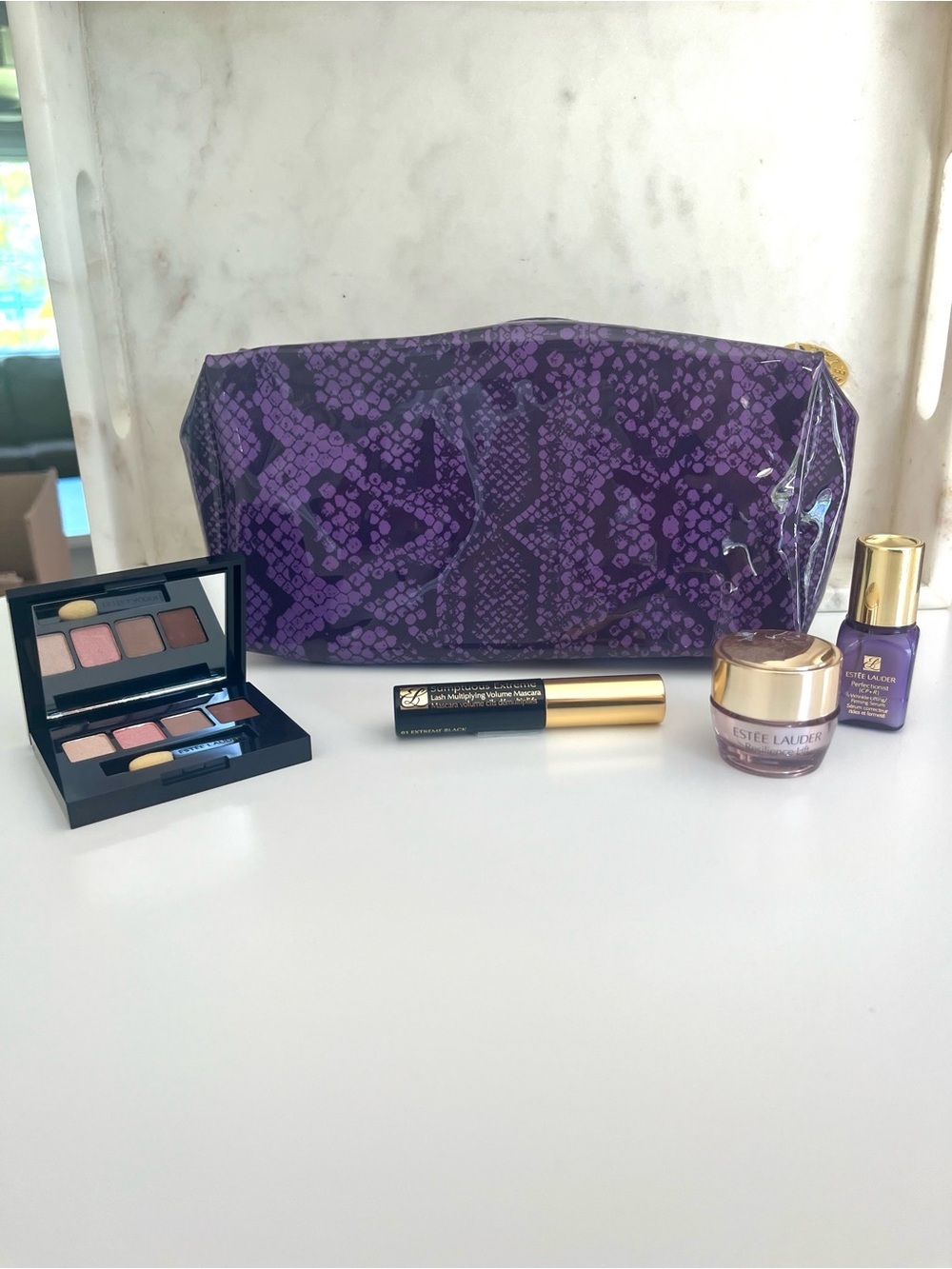 Estee Lauder Gift Set, Cosmetic Pouch, Skincare, Makeup NEW